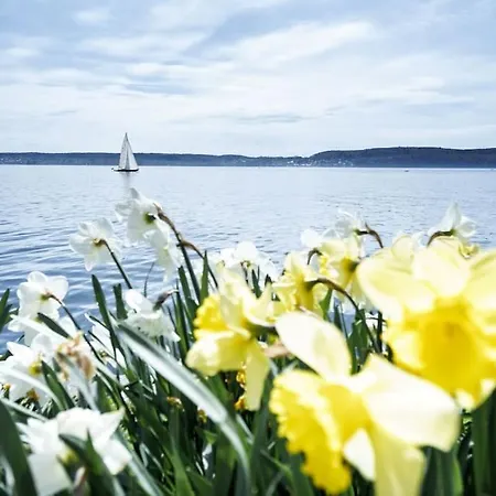 Premium-ferienwohnung In Seenaehe Mit Vollausstattung & Terrasse Апартаменты *